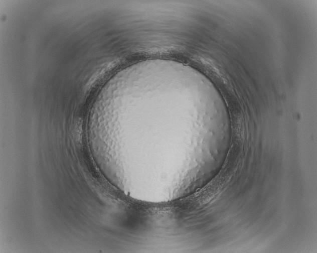 X0000072980495200608041247