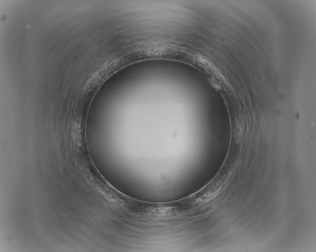 X0000072980497200608041247