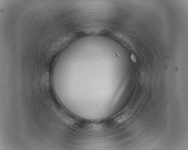 X0000072980498200608041247