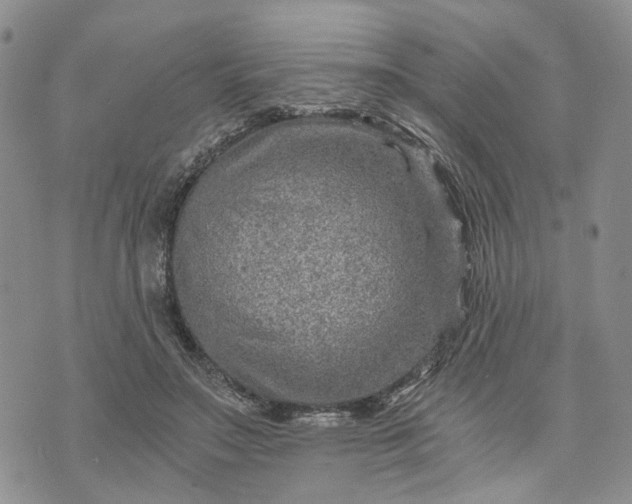 X0000072980499200608041246