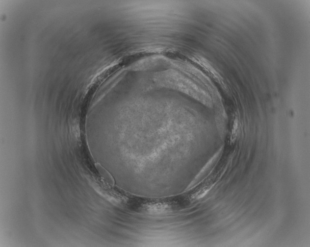 X0000072980500200608041246