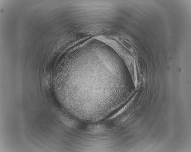 X0000072980503200608041246