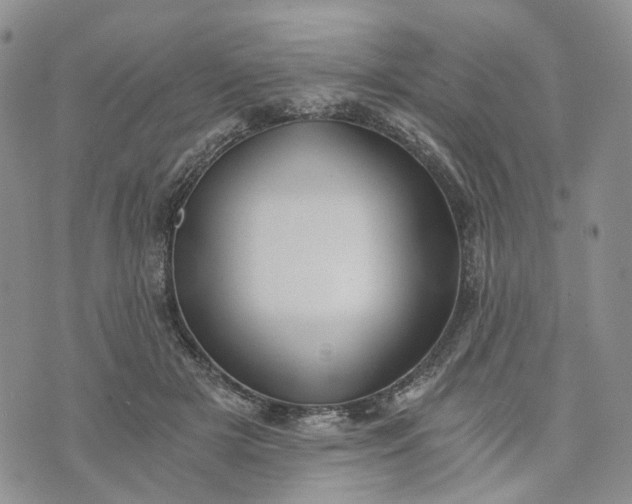 X0000072980505200608041246