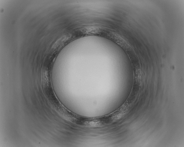 X0000072980506200608041246