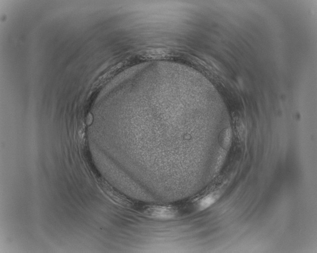 X0000072980507200608041246