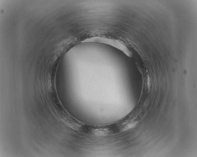 X0000072980508200608041246