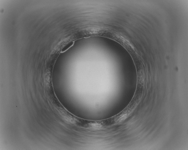 X0000072980509200608041246