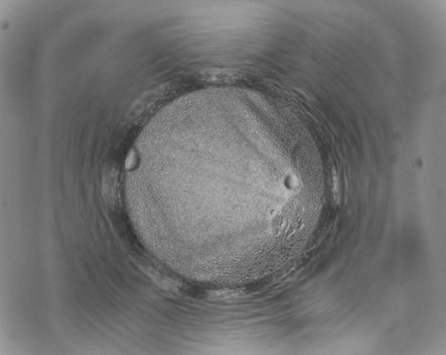 X0000072980511200608041246