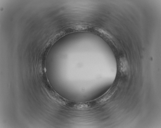 X0000072980512200608041246