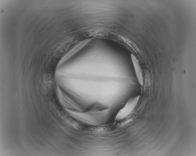 X0000072980513200608041246