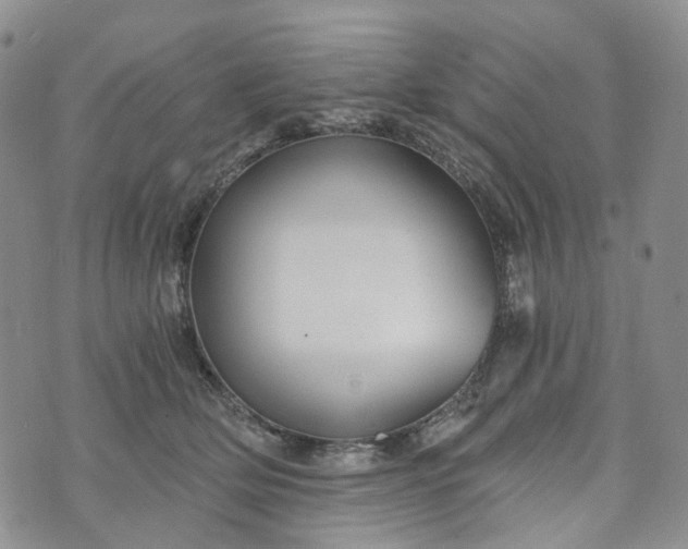 X0000072980514200608041246