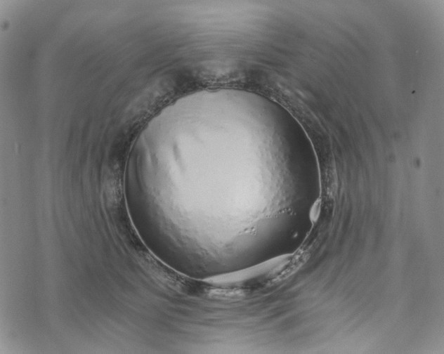 X0000072980515200608041246