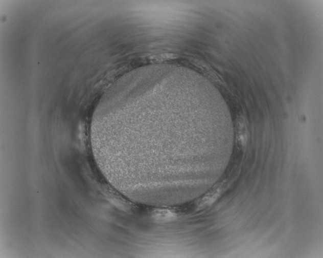 X0000072980519200608041246