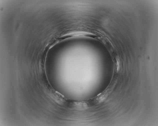 X0000072980520200608041246