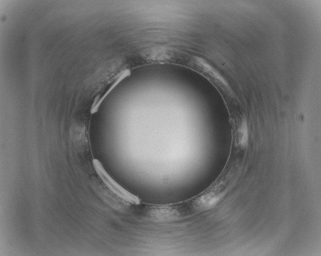 X0000072980521200608041246