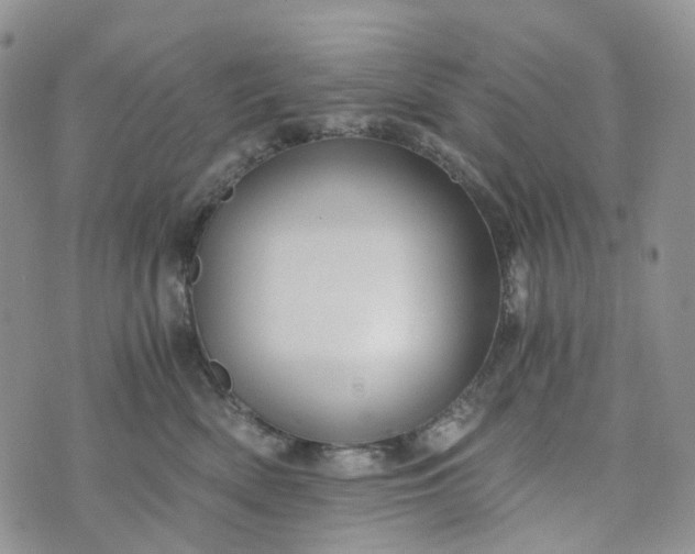 X0000072980522200608041246