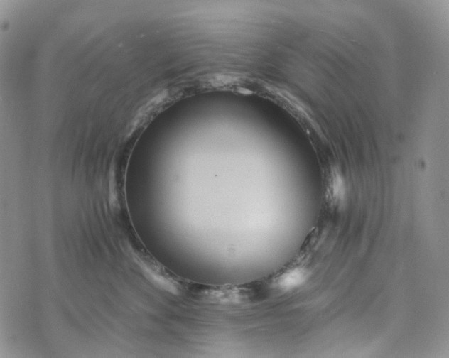 X0000072980524200608041246