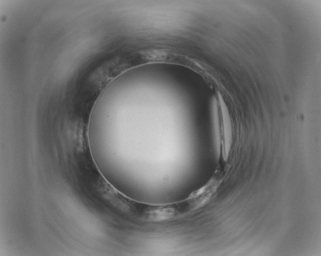 X0000072980525200608041246