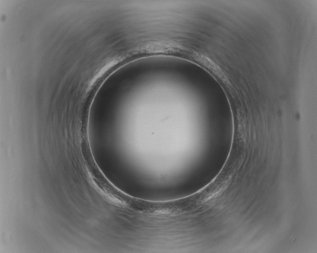 X0000072980530200608041245