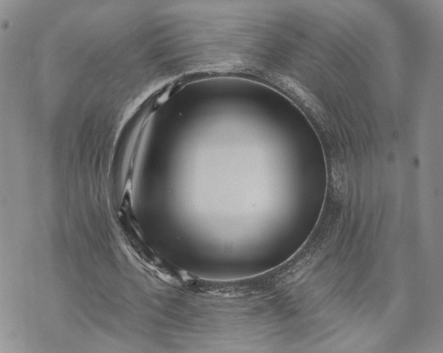 X0000072980532200608041245