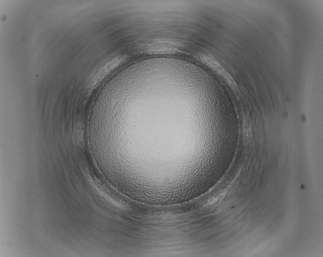 X0000072980533200608041245