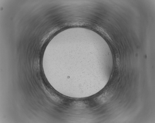 X0000072980534200608041245