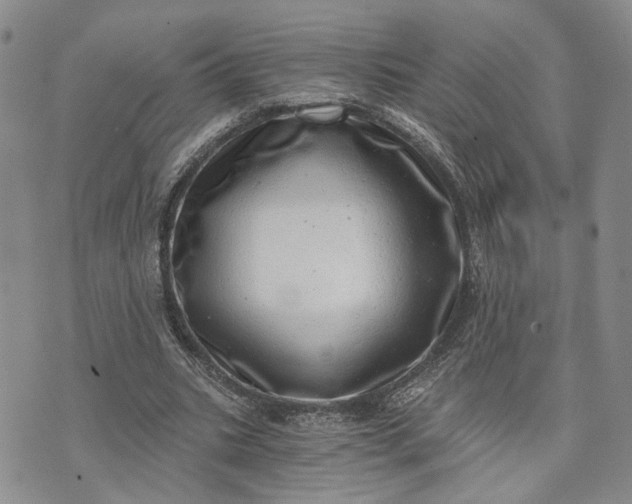 X0000072980535200608041245