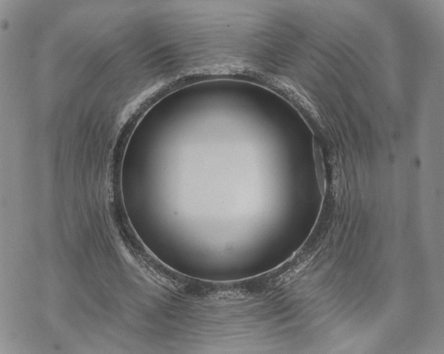 X0000072980536200608041245