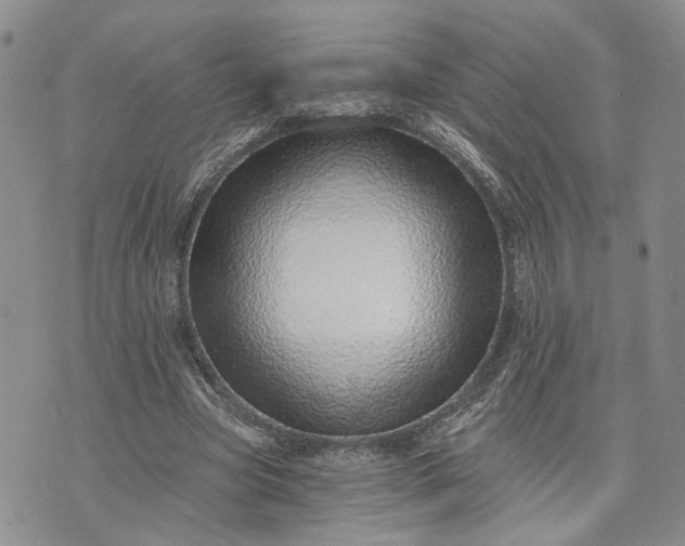 X0000072980537200608041245