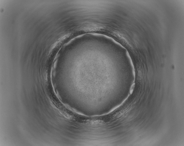 X0000072980539200608041245