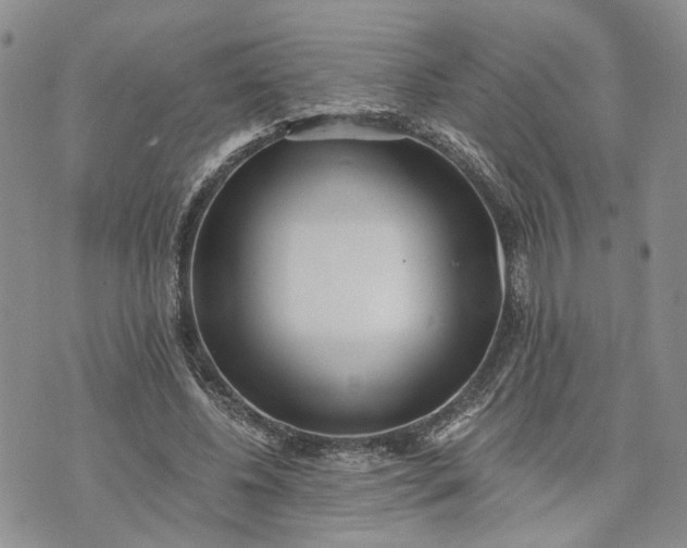 X0000072980540200608041245