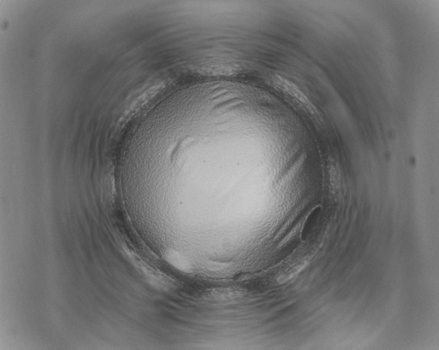 X0000072980541200608041245