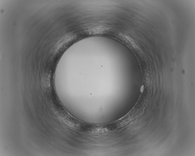 X0000072980543200608041245