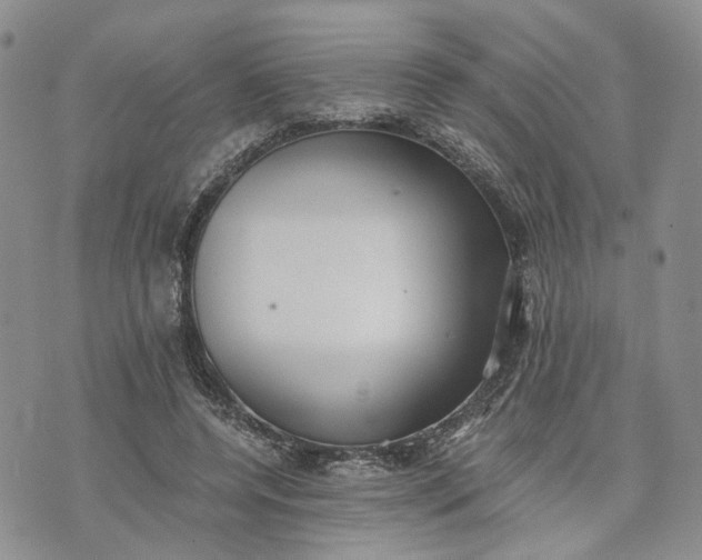 X0000072980544200608041245