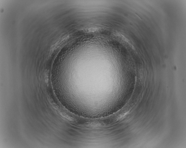 X0000072980545200608041245