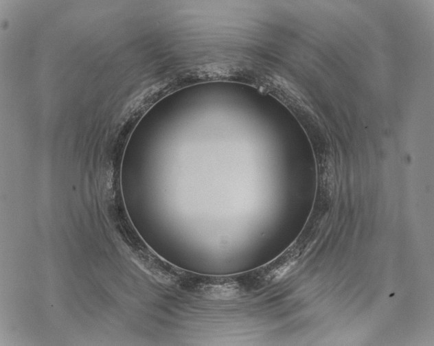 X0000072980548200608041246