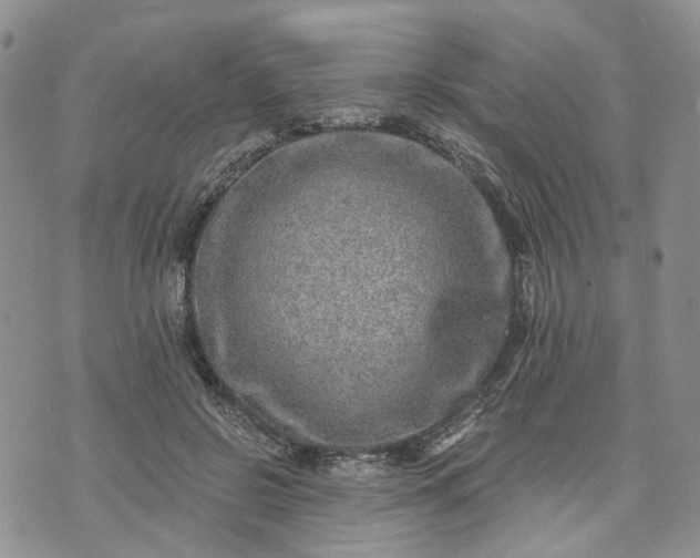 X0000072980550200608041246