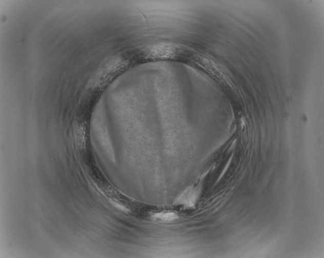 X0000072980551200608041246