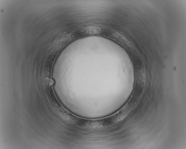 X0000072980553200608041246