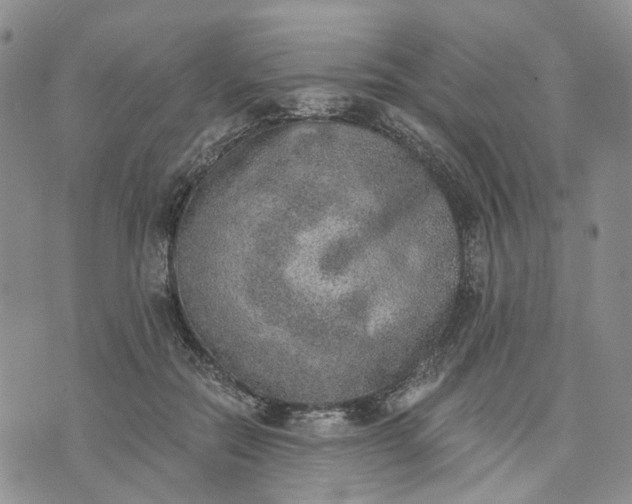 X0000072980554200608041246