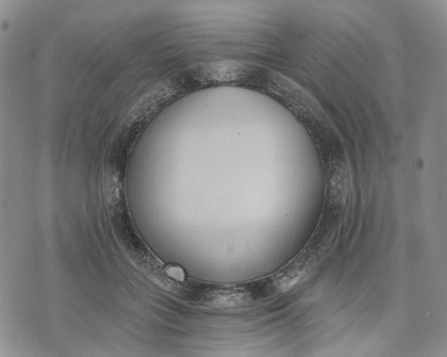 X0000072980555200608041246