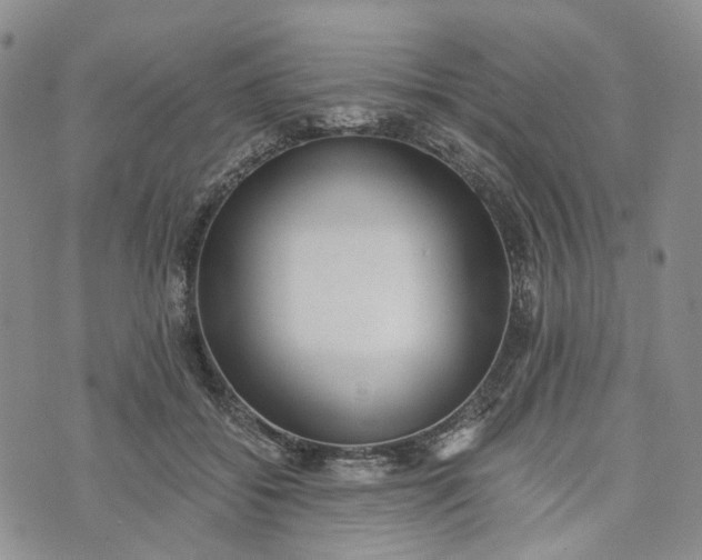 X0000072980556200608041246