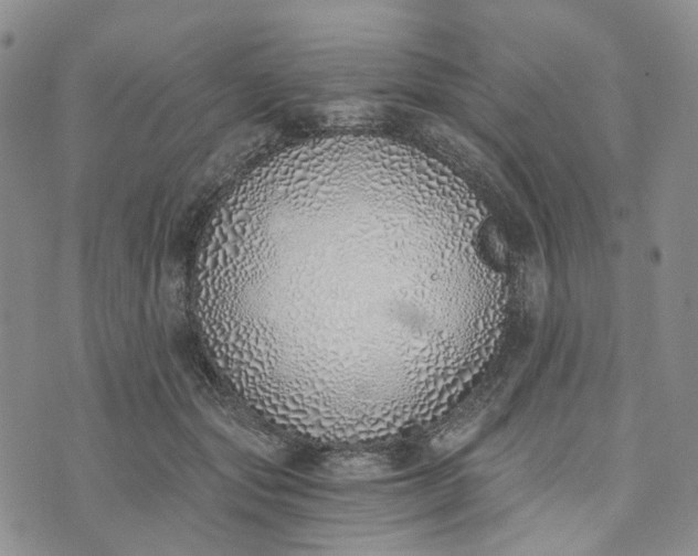 X0000072980557200608041246