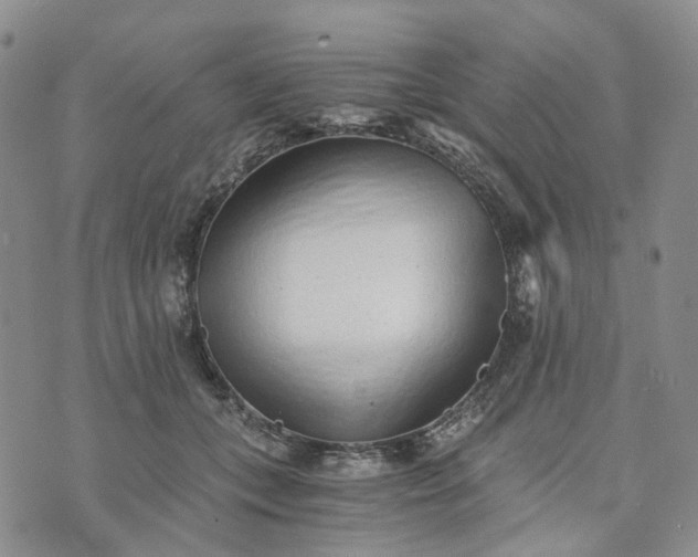 X0000072980559200608041246