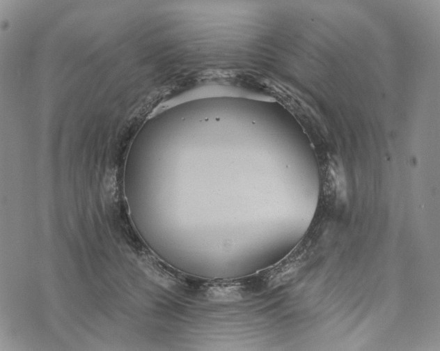 X0000072980560200608041246