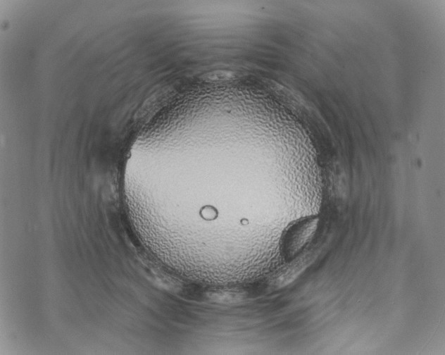 X0000072980561200608041246