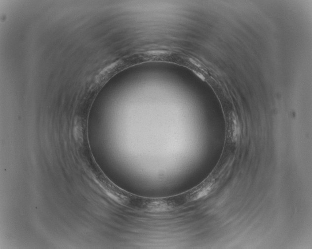 X0000072980562200608041246