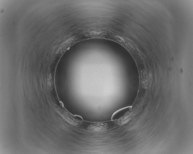 X0000072980563200608041246