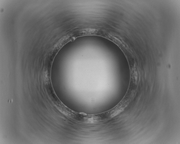 X0000072980564200608041246