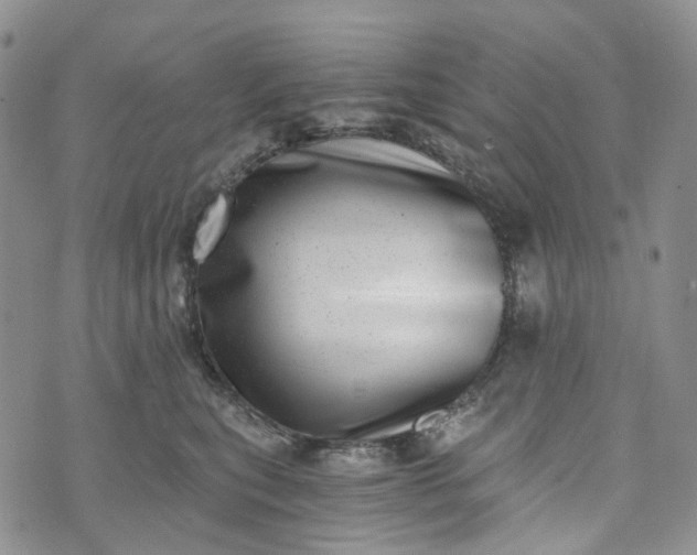 X0000072980567200608041246